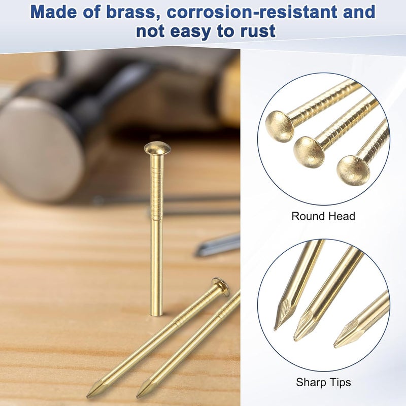 M METERXITY 200-Pack Small Tiny Nails, 1.2mm x 10mm Brass Precision MIni Nails Hardware Round Head for Wooden/DIY Crafts Decorative/Household Accessories/Picture Hanging - Image 2